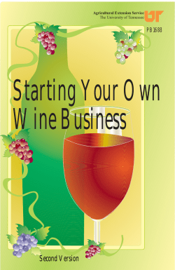 Starting Your Own Wine Business