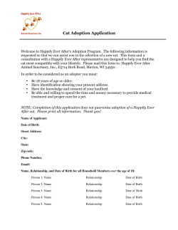 New Cat Adoption - Happily Ever After Animal Sanctuary