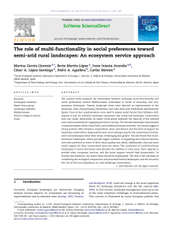 The role of multi-functionality in social preferences
