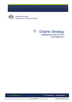 Dolphin Strategy - The Australian Fisheries Management Authority