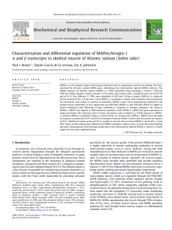 Characterisation and differential regulation of MAFbx/Atrogin