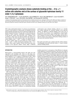 Crystallographic analysis shows substrate binding at the &minus;3 to +1