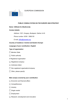 EUROPEAN COMMISSION PUBLIC CONSULTATION ON THE