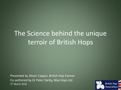 The Science behind the unique terroir of British Hops