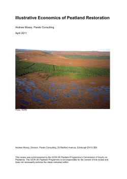 Illustrative Economics of Peatland Restoration
