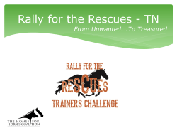 Dawn Roberts, Rally for the Rescues Trainer Challenge