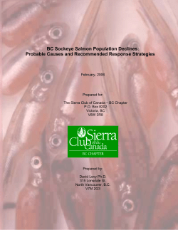 BC Sockeye Salmon Population Declines