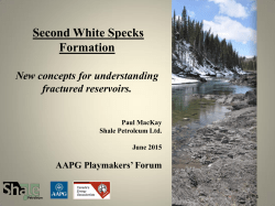 Second White Specks Formation