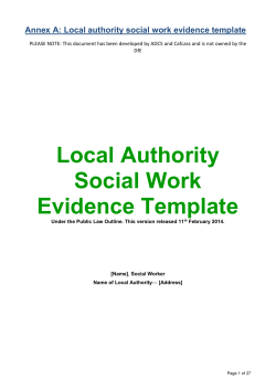Annex A: Local authority social work evidence template