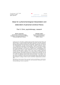 Ideas for a phenomenological interpretation and