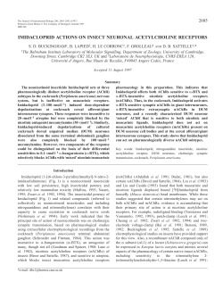 imidacloprid actions on insect neuronal acetylcholine receptors