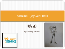 Sno0kiE jay-WaLkeR