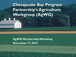 Pre-Meeting Workshop Presentation