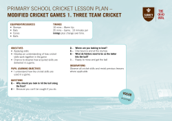 primary school cricket lesson plan – modified cricket games 1. three