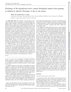 Discharge of the hypoglossal nerve cannot distinguish eupnea from