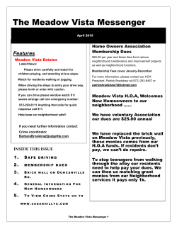 The Meadow Vista Messenger