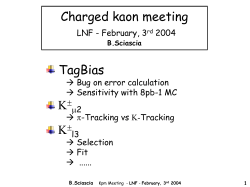 ppt file - INFN-LNF