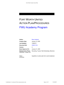 Action Plan - brianhaddock.com