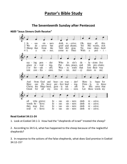 Pastor`s Bible Study The Seventeenth Sunday after