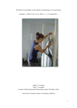 The effect of Cimetidine on the number of melanomas on 41 grey