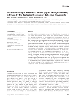 Decision-Making in Przewalski Horses (Equus ferus przewalskii) is