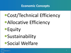 Cost/Technical Efficiency Allocative Efficiency Equity Sustainability