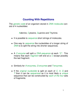 Counting With Repetitions