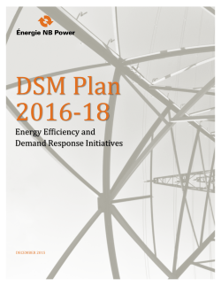 DSM Plan 2016-18