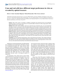 Cone and rod cells have different target preferences in vitro as