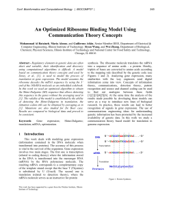 An Optimized Ribosome Binding Model Using Communication