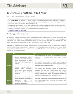 summarized in the following matrix: Pros Cons Investor