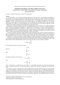Equilibrium morphology and tidal conditions in estuaries