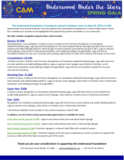 Underwood Under the Stars Sponsorship Levels