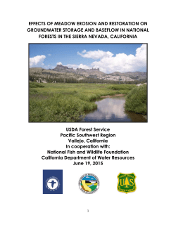 Meadows in the Sierra Nevada landscape