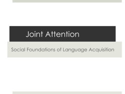 Joint Attention