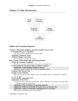 Chapter 3: Utility Maximization