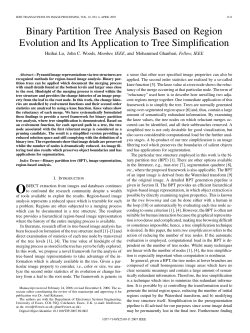 Binary Partition Tree Analysis Based on Region Evolution and Its