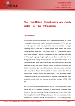The Free-Rider`s Shareholders are Jointly Liable for the Infringement