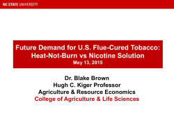 Heat-not-burn products - WT Process and Machinery