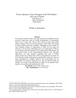 Private Operators` Entry Strategies in the FttH Market &ndash; The Case of
