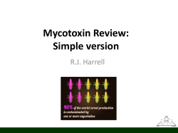 Mycotoxin Review