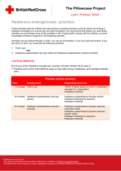 Heatwave preparedness role play activity