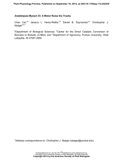 1 Arabidopsis Myosin XI