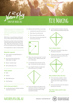 Kite Making - Nature Play SA