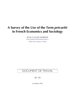 A Survey of the Use of the Term pr&eacute;carit&eacute; in French Economics and