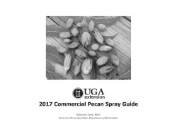 Pecans - UGA CAES - University of Georgia
