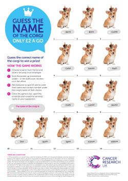 GUESS THE - Cancer Research UK