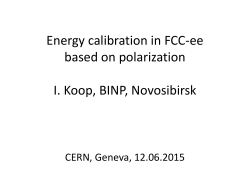 Koop-FCCee-Polarization