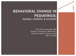 Duh-Leong PPT CHIL - Yale Alumni Nonprofit Alliance