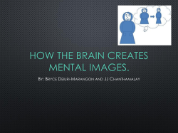 The Functional-Equivalency Theory is that mental images are